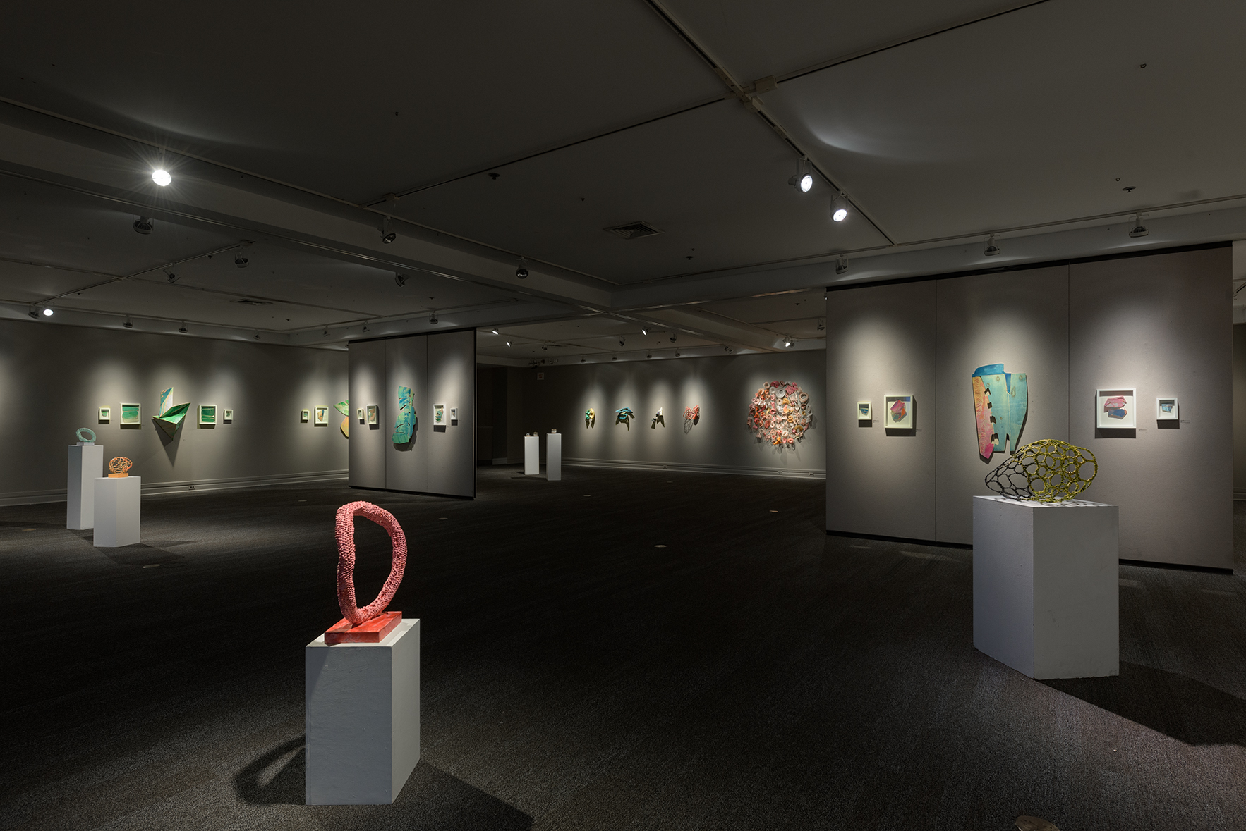 Installation View of the gallery